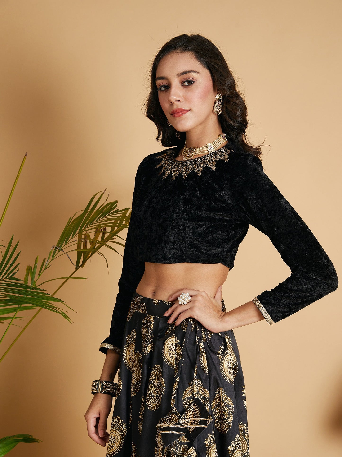 Women Black Velvet Embroidered Full Sleeves Crop Top
